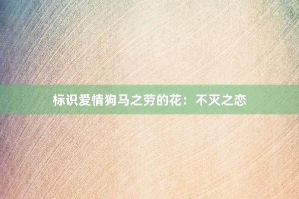 标识爱情狗马之劳的花：不灭之恋