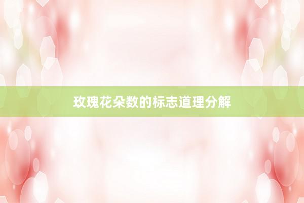 玫瑰花朵数的标志道理分解
